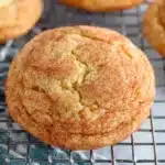 Pumpkin Snickerdoodles