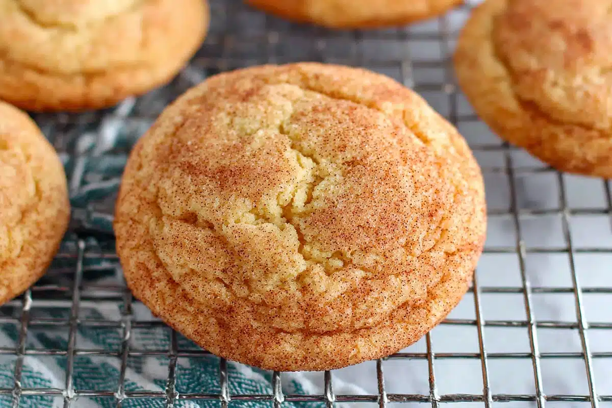 Pumpkin Snickerdoodles