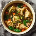 Potsticker Soup