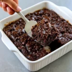 Plant-Based Zucchini Brownies