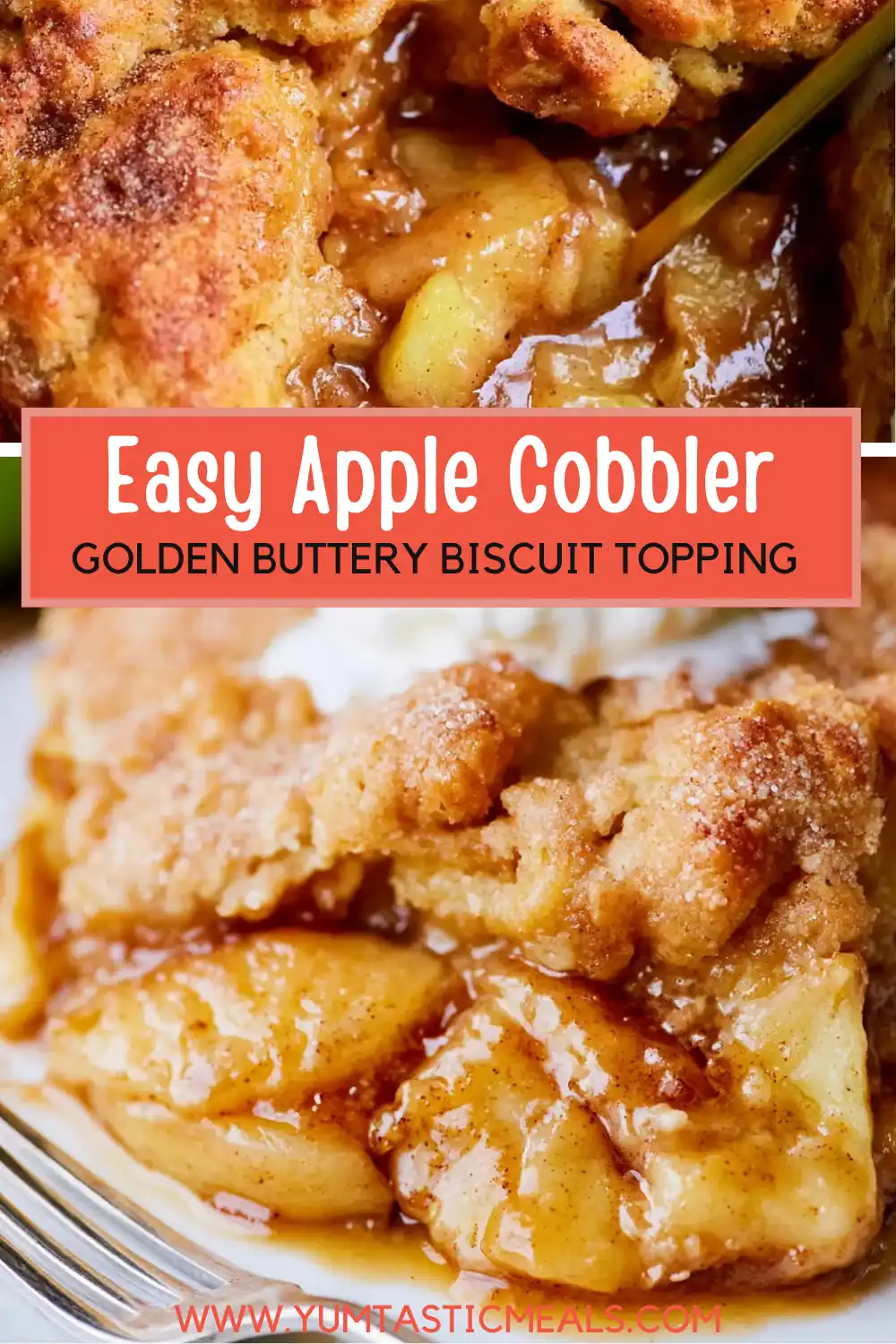 Apple Cobbler With a Golden Buttermilk Topping 6 Apple Cobbler