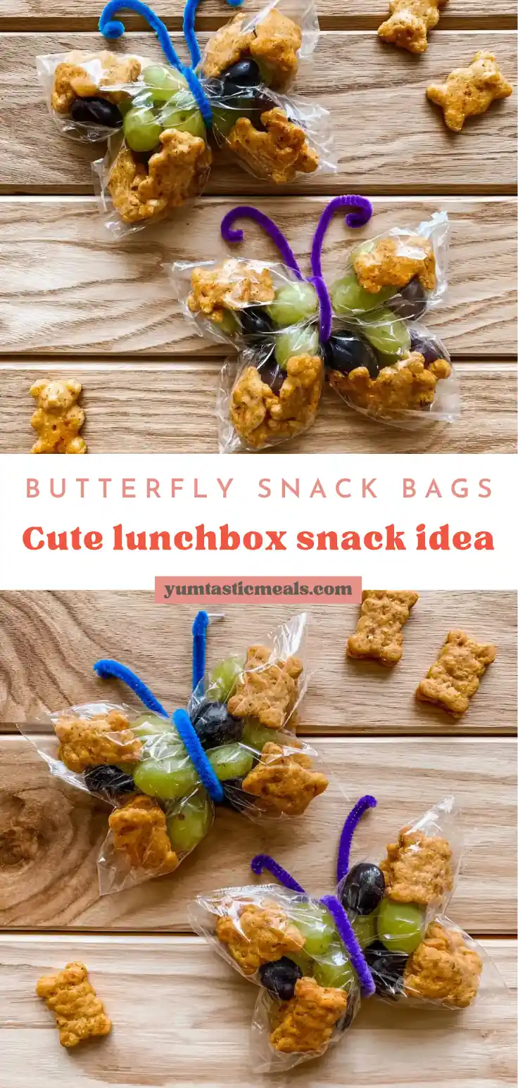 Butterfly Snack Bags