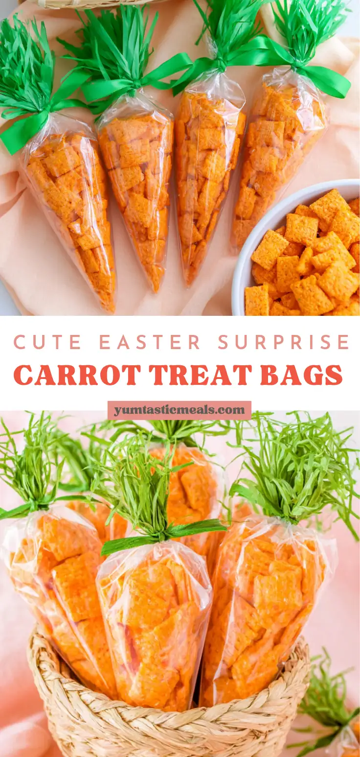 Carrot Treat Bags for Easy Easter Party Snacks 6 Carrot Treat Bags