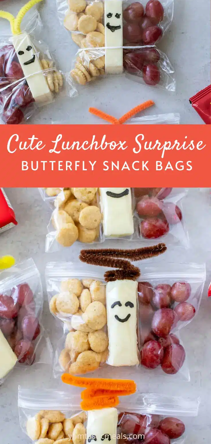 DIY Butterfly Snack Bags