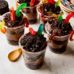 Dirt and Worms Pudding Cups