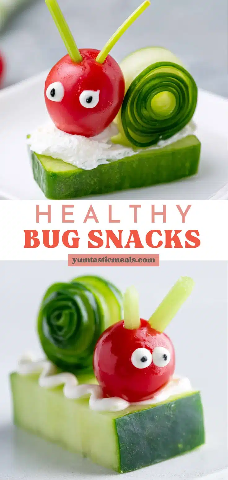 Healthy Bug Snacks Kids Will Love 6 Healthy Bug Snacks