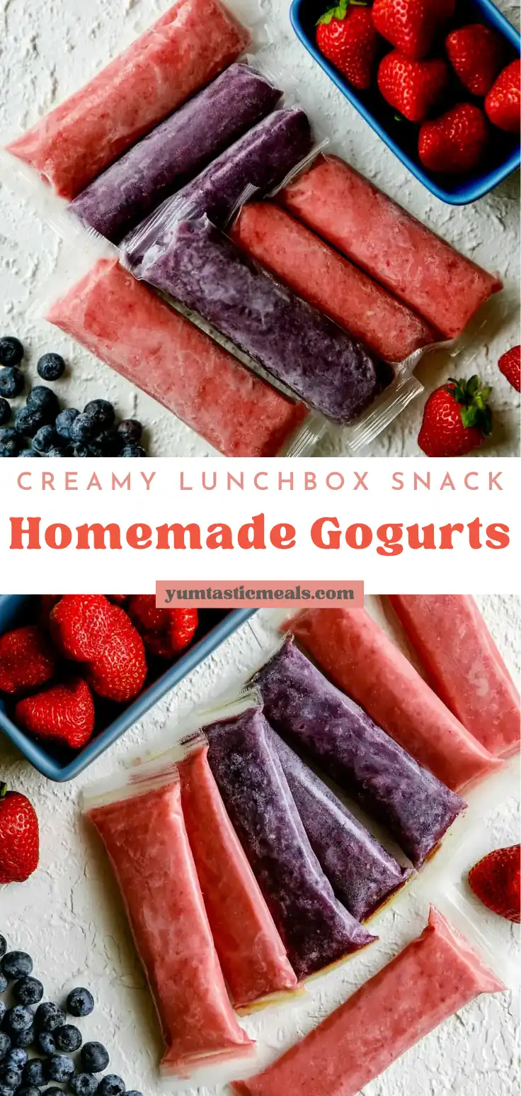 Homemade Gogurts: Easy 2-Ingredient Yogurt Tubes 6 Homemade Gogurts