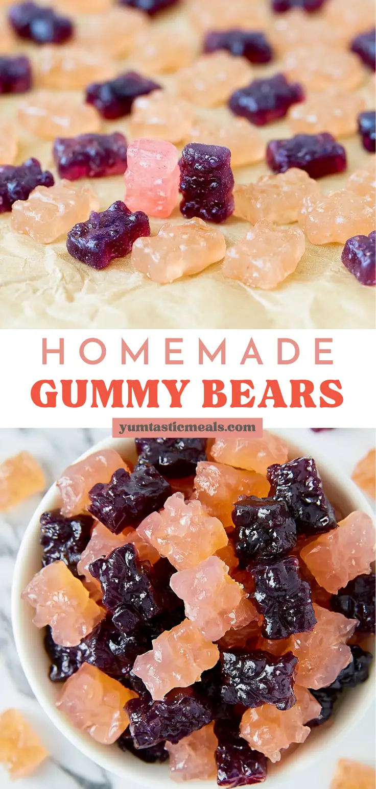 Homemade Gummy Bears with Real Fruit and Honey 6 Homemade Gummy Bears