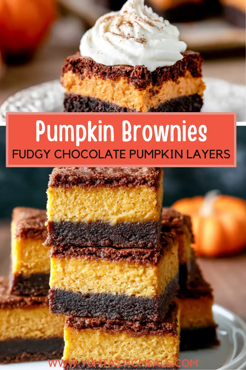 Pumpkin Brownies With Rich Chocolate and Creamy Pumpkin Pie 6 Pumpkin Brownies