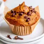 Pumpkin Protein Muffins