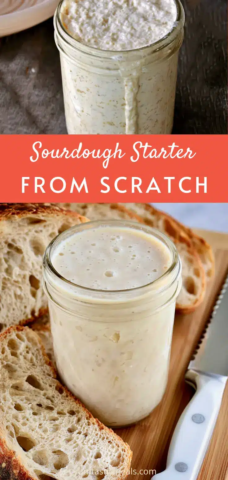 Sourdough Starter: An Easy From-Scratch Recipe 6 Sourdough Starter