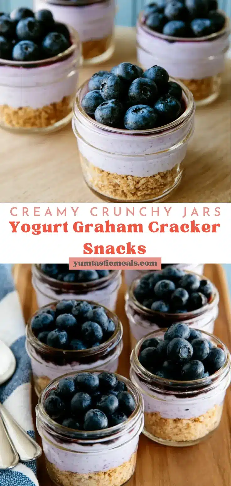 Yogurt Graham Cracker Snacks – Mason Jar Snack Treats 6 Yogurt Graham Cracker Snacks
