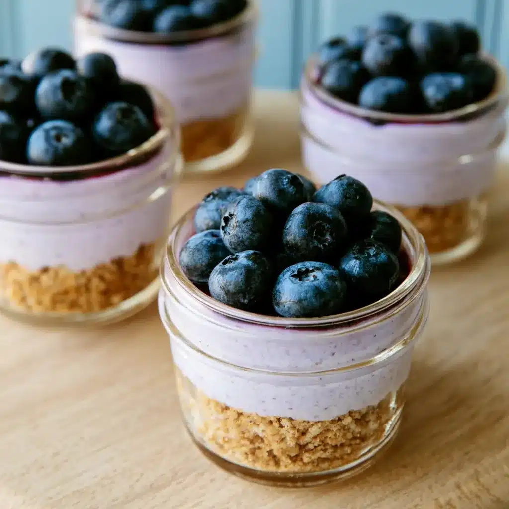 Yogurt Graham Cracker Snacks – Mason Jar Snack Treats 5 Yogurt Graham Cracker Snacks