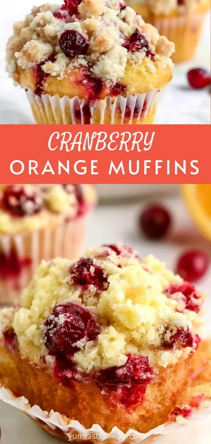 Cranberry Orange Muffins with Streusel Topping 6 Cranberry Orange Muffins
