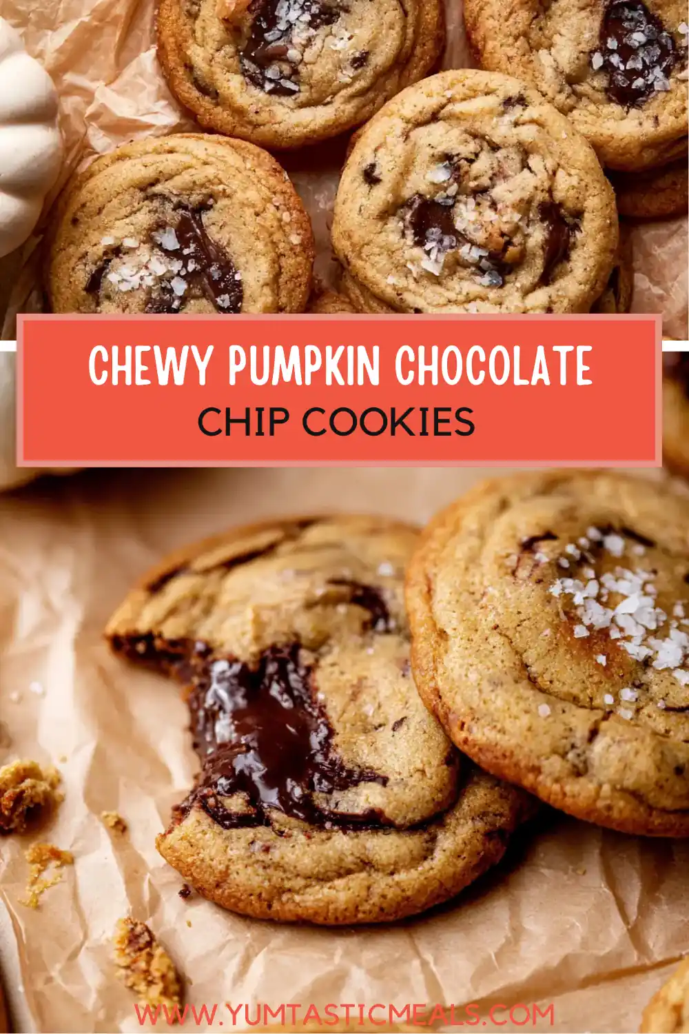 Pumpkin Chocolate Chip Cookies with Brown Butter 6 Pumpkin Chocolate Chip Cookies